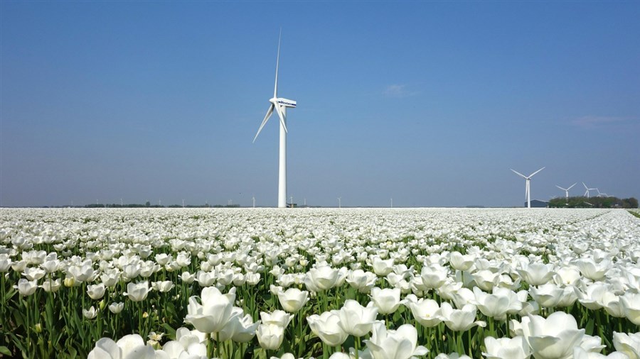 Bericht Subsidie voor duurzame energieprojecten bekijken